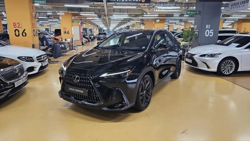 2024 LEXUS NX