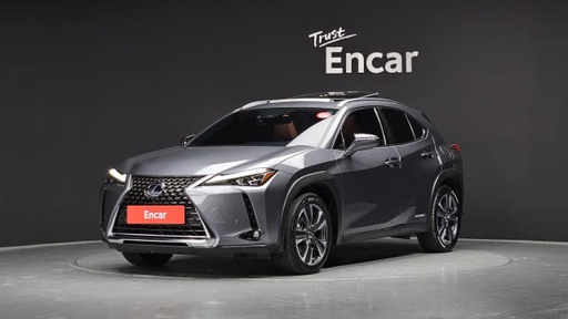 2019 LEXUS UX