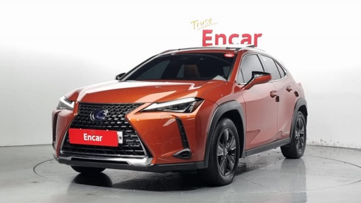 2019 LEXUS UX