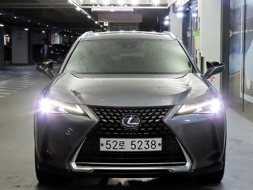 2019 LEXUS UX