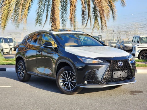 2024 LEXUS NX