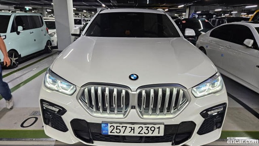 2021 BMW X6