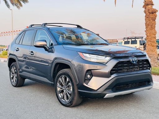 2022 TOYOTA RAV4