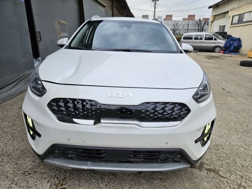 2020 KIA Niro Plus