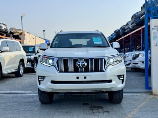 2019 TOYOTA Land Cruiser Prado