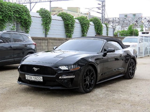 2019 FORD Mustang