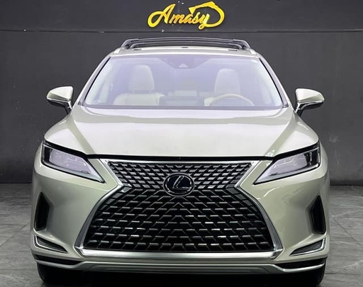 2020 LEXUS RX, 