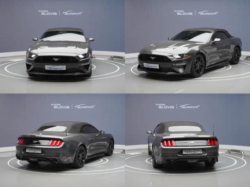 2019 FORD Mustang