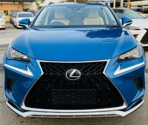 2020 LEXUS NX, 