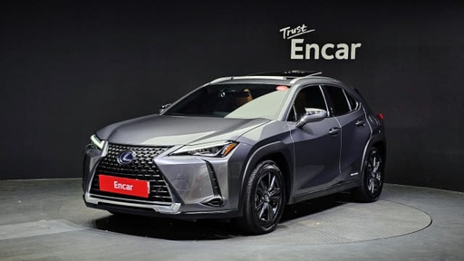 2019 LEXUS UX