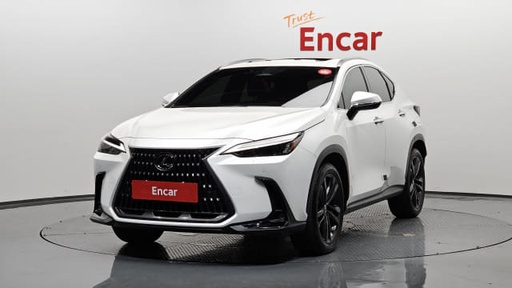 2024 LEXUS NX