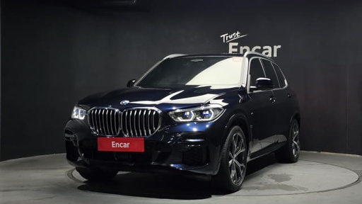 2023 BMW X5