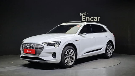 2020 AUDI E- TRON