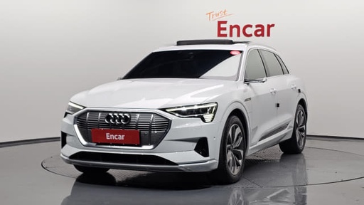 2022 AUDI E- TRON