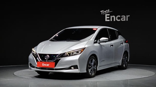 2019 NISSAN Leaf