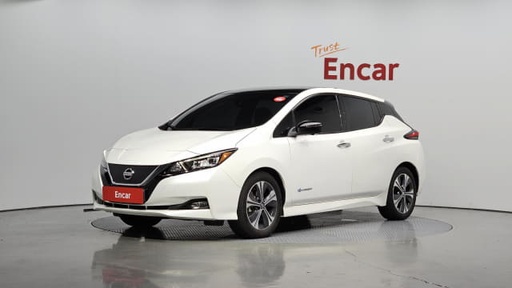 2019 NISSAN Leaf
