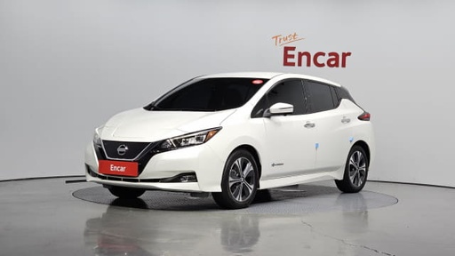 2019 NISSAN Leaf