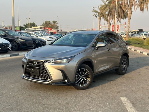 2024 LEXUS NX