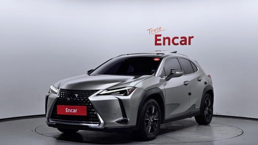 2019 LEXUS UX