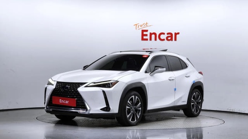 2019 LEXUS UX