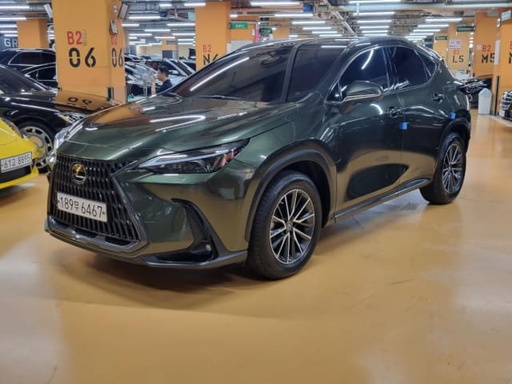 2022 LEXUS NX