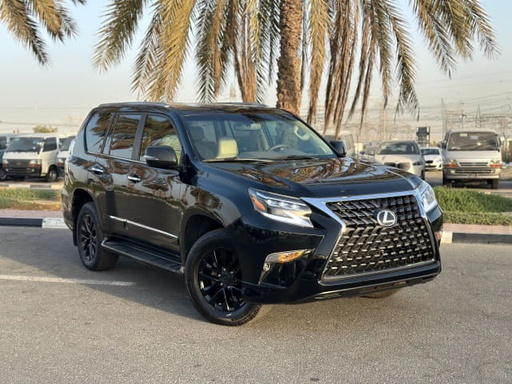 2019 LEXUS GX 460