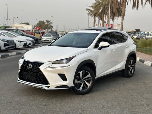 2020 LEXUS NX