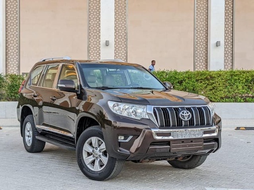 2019 TOYOTA Land Cruiser Prado