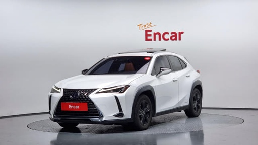 2019 LEXUS UX