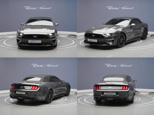 2019 FORD Mustang