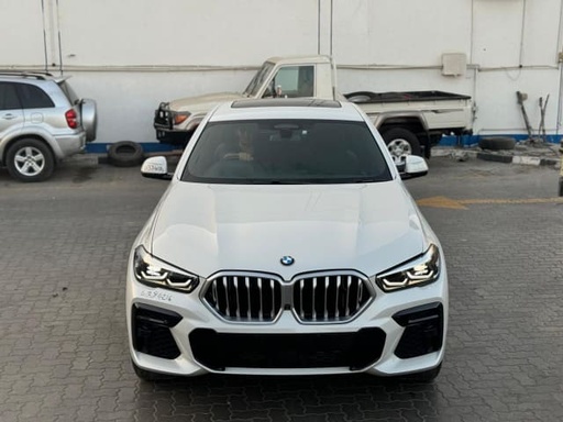 2022 BMW X6