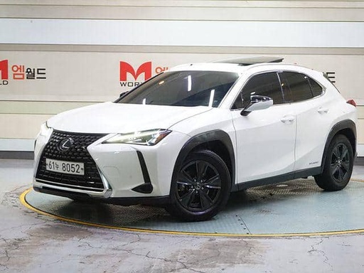 2019 LEXUS UX