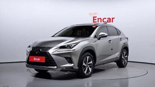 2019 LEXUS NX