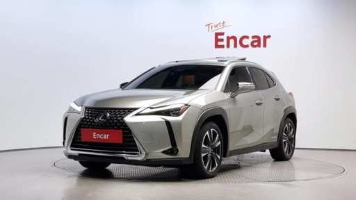 2019 LEXUS UX