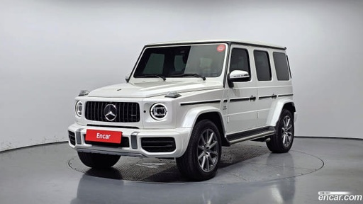 2019 MERCEDES-BENZ G-Class