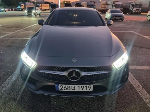 2019 MERCEDES-BENZ Cls-Class