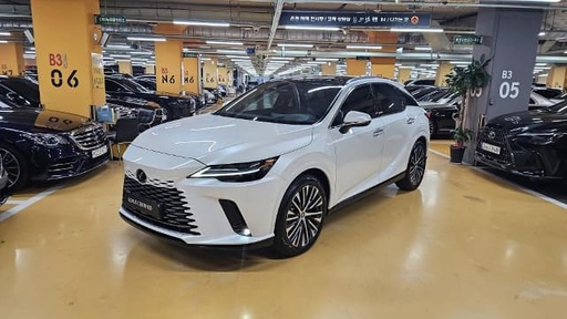 2024 LEXUS RX