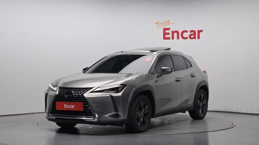 2020 LEXUS UX