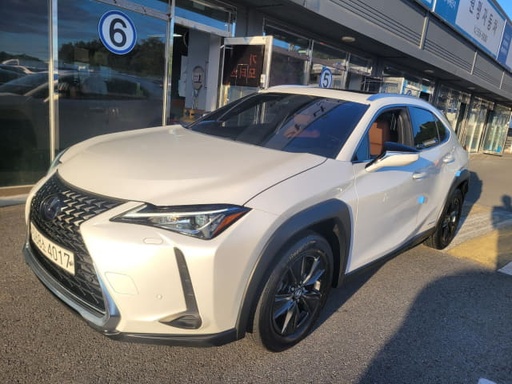 2021 LEXUS UX