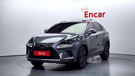 2019 LEXUS NX