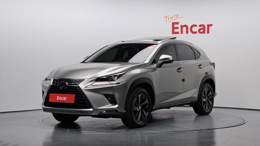 2020 LEXUS NX