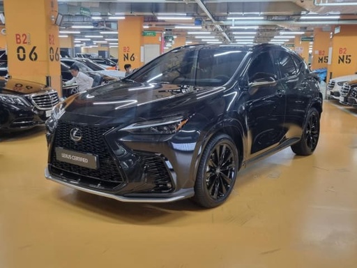 2024 LEXUS NX