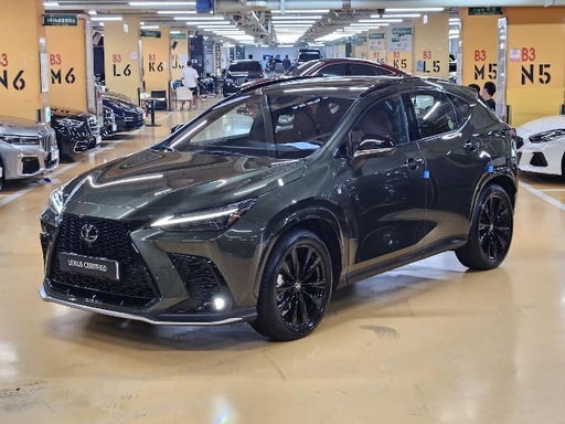 2024 LEXUS NX