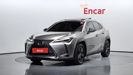 2019 LEXUS UX