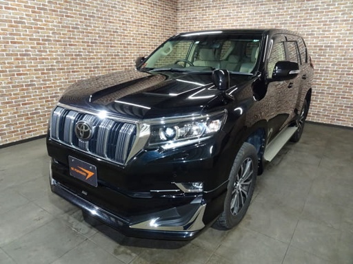 2019 TOYOTA Land Cruiser Prado