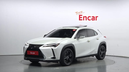 2020 LEXUS UX