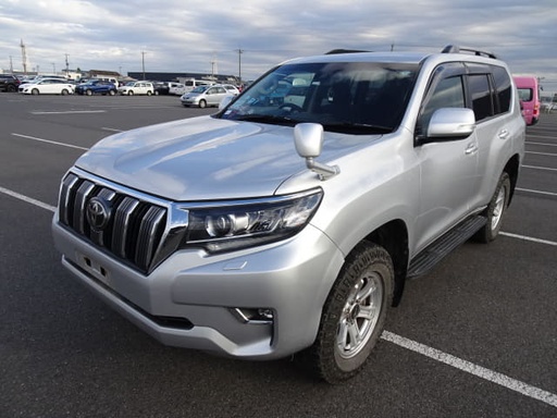 2019 TOYOTA Land Cruiser Prado