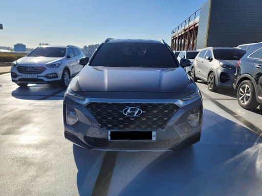 2019 HYUNDAI Santa Fe TM
