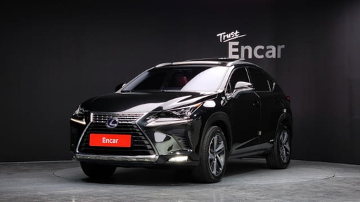 2018 LEXUS NX