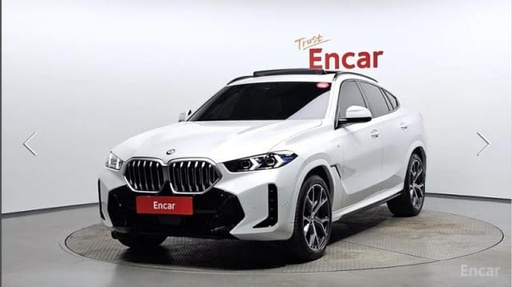 2024 BMW X6